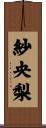 紗央梨 Scroll