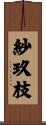 紗玖枝 Scroll
