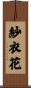 紗衣花 Scroll