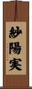 紗陽実 Scroll