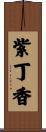 紫丁香 Scroll