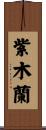 紫木蘭 Scroll