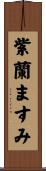 紫蘭ますみ Scroll