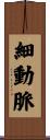 細動脈 Scroll