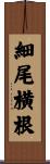 細尾横根 Scroll