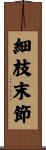 細枝末節 Scroll