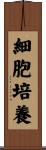 細胞培養 Scroll