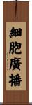 細胞廣播 Scroll