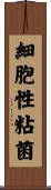 細胞性粘菌 Scroll