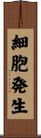 細胞発生 Scroll