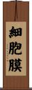 細胞膜 Scroll