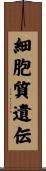 細胞質遺伝 Scroll