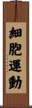 細胞運動 Scroll