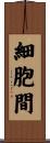 細胞間 Scroll