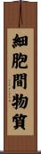 細胞間物質 Scroll
