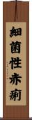 細菌性赤痢 Scroll