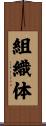 組織体 Scroll