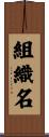 組織名 Scroll