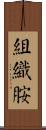 組織胺 Scroll