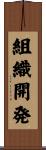 組織開発 Scroll