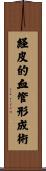 経皮的血管形成術 Scroll