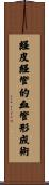 経皮経管的血管形成術 Scroll