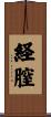 経膣 Scroll