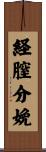 経膣分娩 Scroll