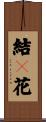 結々花 Scroll