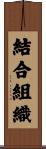 結合組織 Scroll
