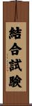 結合試験 Scroll