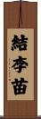 結李苗 Scroll
