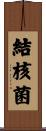 結核菌 Scroll