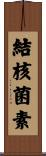 結核菌素 Scroll