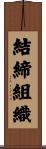 結締組織 Scroll
