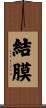 結膜 Scroll