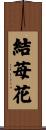 結苺花 Scroll