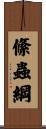 絛蟲綱 Scroll