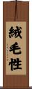 絨毛性 Scroll
