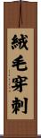 絨毛穿刺 Scroll