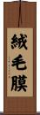 絨毛膜 Scroll