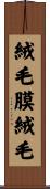 絨毛膜絨毛 Scroll