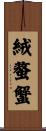 絨螯蟹 Scroll
