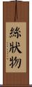 絲狀物 Scroll