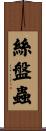 絲盤蟲 Scroll