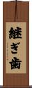 継ぎ歯 Scroll