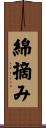 綿摘み Scroll