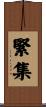 緊集 Scroll