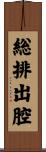 総排出腔 Scroll