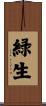 緑生 Scroll